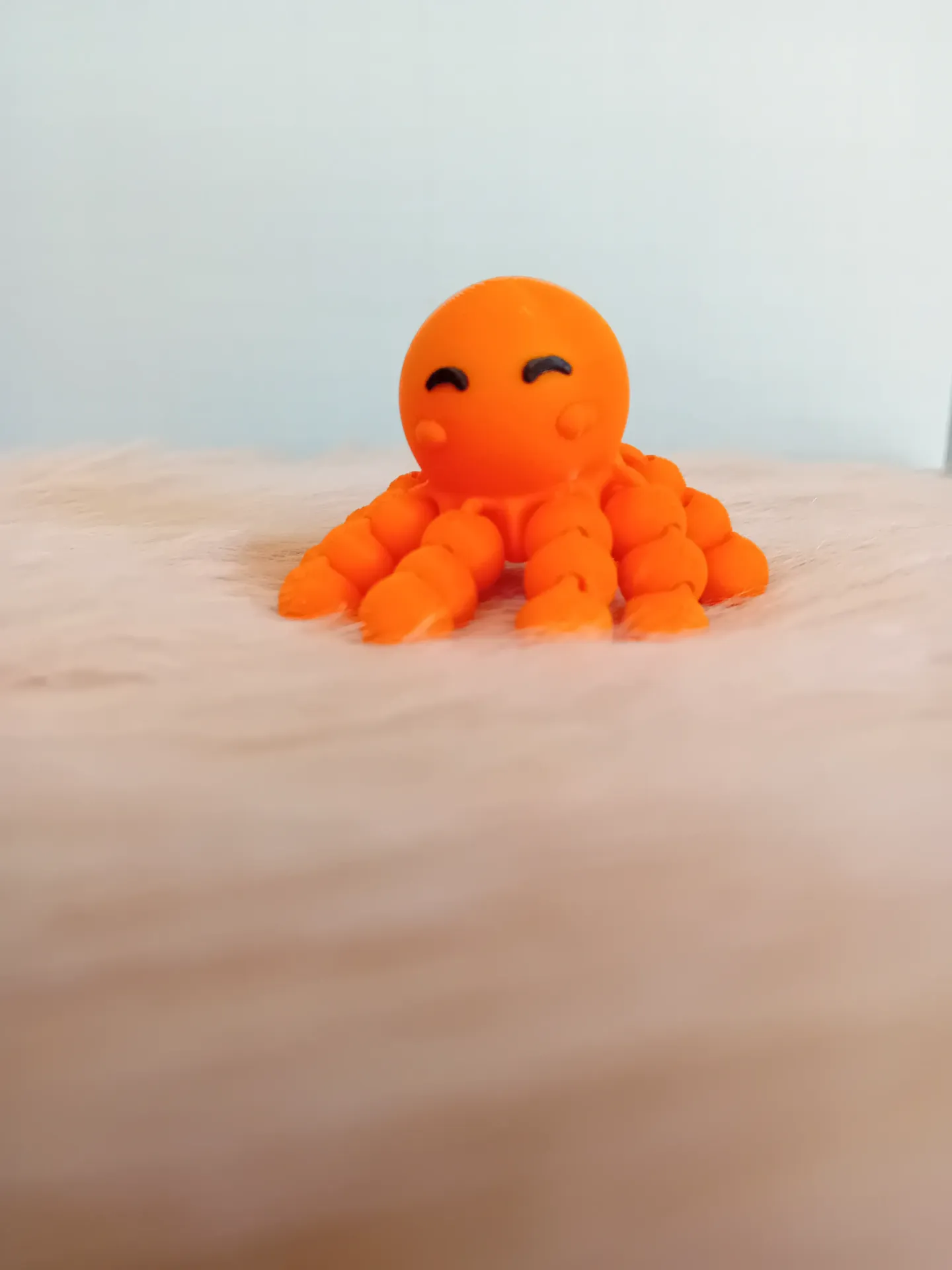 Octopus